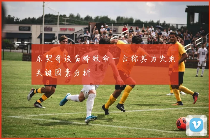 东契奇谈黄蜂致命一击称其为失利关键因素分析