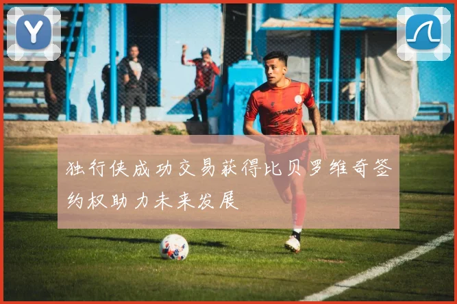 独行侠成功交易获得比贝罗维奇签约权助力未来发展