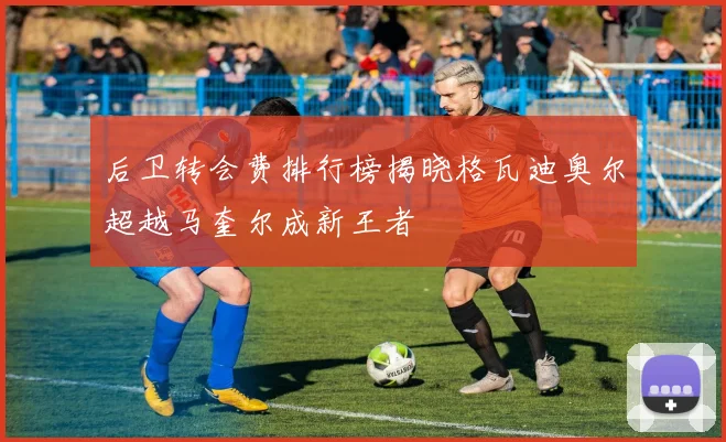 后卫转会费排行榜揭晓格瓦迪奥尔超越马奎尔成新王者